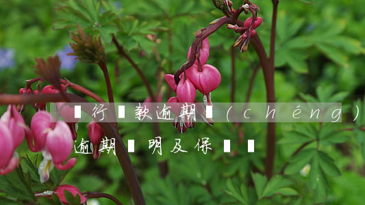 銀行貸款逾期誠(chéng)信說明(貸款逾期說明及保證書)