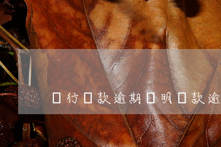 銀行貸款逾期證明（貸款逾期起訴證明）