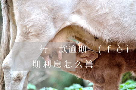 銀行貸款逾期費(fèi)怎么算的(銀行逾期利息怎么算)