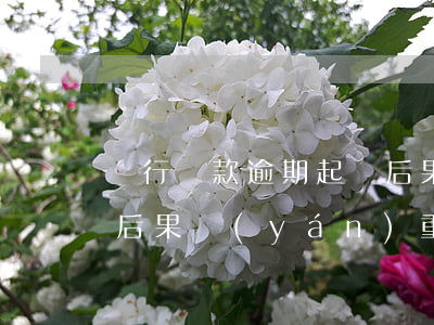 銀行貸款逾期起訴后果-銀行貸款逾期起訴后果嚴(yán)重嗎