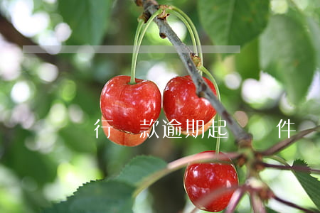 銀行貸款逾期起訴條件(銀行貸款能逾期嗎)