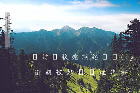 銀行貸款逾期起訴過(guò)程(銀行貸款逾期被起訴處理流程)