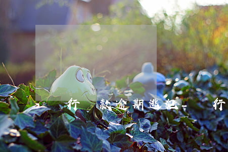 銀行貸款逾期逃犯-銀行貸款逾期逃犯