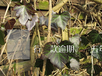 銀行貸款逾期過過五年了能貸款嗎