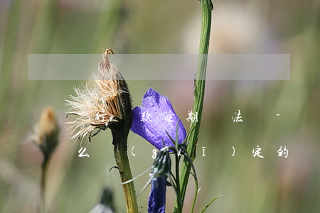 銀行貸款逾期違法嗎-銀行對貸款逾期是怎么規(guī)定的