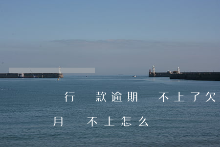 銀行貸款逾期還不上了(欠銀行貸款逾期兩個月還不上怎么辦)