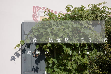 銀行貸款逾期還不了(銀行商業(yè)貸款逾期不還會(huì)怎么辦?)