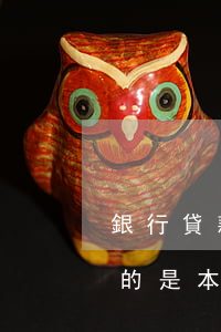 銀行貸款逾期還本金(金融借款逾期之后,償還的是本金還是利息)