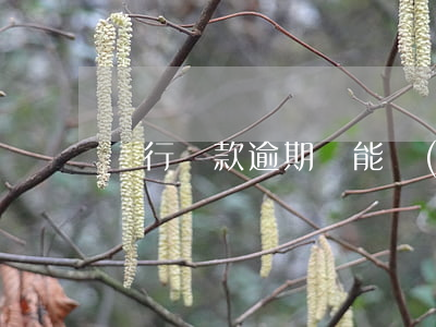 銀行貸款逾期還能結(jié)婚么