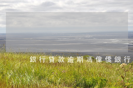 銀行貸款逾期馮偉僑(銀行貸款逾期馮偉僑)