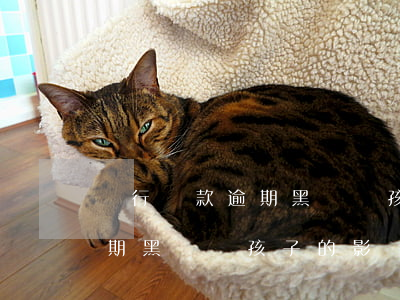 銀行貸款逾期黑戶對孩子的影響(銀行貸款逾期黑戶對孩子的影響有多大)