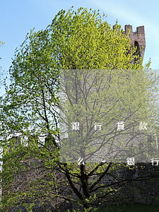 銀行貸款還不上了可以協(xié)商還款么-銀行貸款還不上可不可以協(xié)商