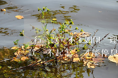 銀行貸款還不上如何辦理停息掛賬-銀行貸款還不起怎樣才能停息掛賬