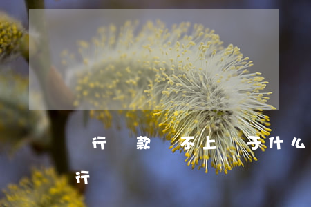 銀行貸款還不上屬于什么案件（貸款還不起 銀行掛賬）