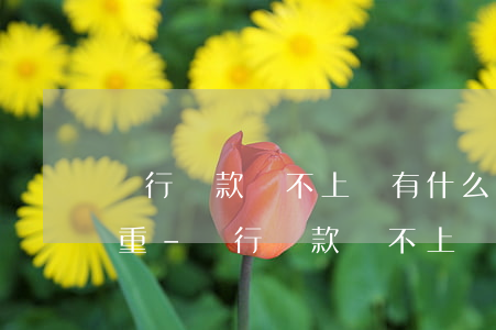 銀行貸款還不上會有什么后果嚴(yán)重-銀行貸款還不上會有什么后果嚴(yán)重公安