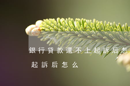 銀行貸款還不上起訴后怎么(銀行貸款還不上起訴后怎么)