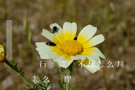 銀行貸款還不起怎么判(銀行貸款還不起銀行怎么處理)
