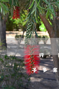 銀行貸款還不起拍賣(銀行貸款還不起拍賣房子多余的錢(qián)給誰(shuí))