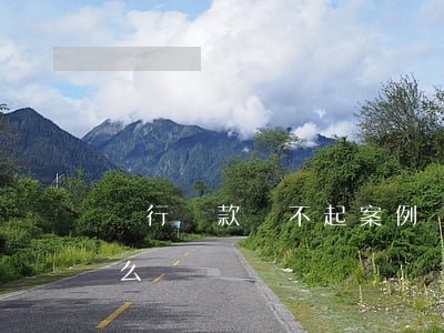 銀行貸款還不起案例 銀行貸款還不起案例怎么辦