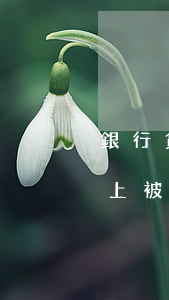 銀行貸款還不起被起訴怎么辦(銀行貸款還不上被法院起訴一般怎么處理)