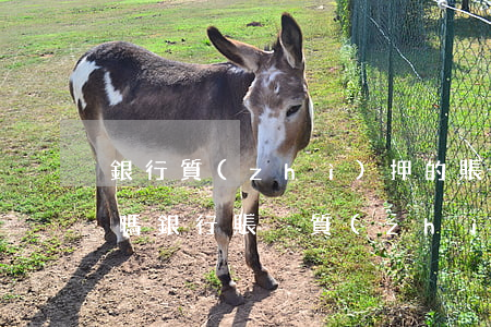 銀行質(zhì)押的賬戶可以被法院扣劃嗎(銀行賬戶質(zhì)押在哪里辦理)