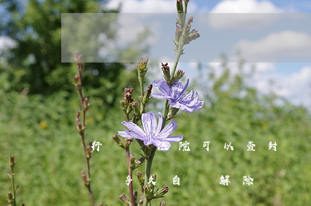 銀行賬戶法院可以查封兩年嗎(法院查封銀行賬戶多久自動解除)