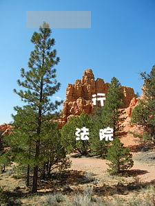 銀行賬戶法院查封后可以更名嗎(銀行賬戶被法院凍結(jié)了可以重新開戶嗎)