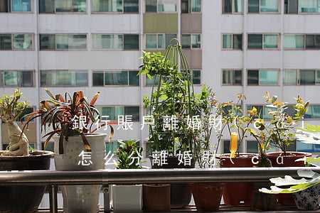 銀行賬戶離婚財(cái)產(chǎn)怎么分(離婚財(cái)產(chǎn)分割可以查對(duì)方所有銀行卡賬戶嗎)