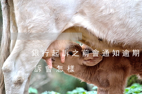 銀行起訴之前會通知逾期的人嗎(逾期銀行起訴會怎樣)