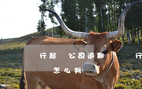 銀行起訴公司逾期還貸 銀行貸款逾期法院起訴該怎么判決