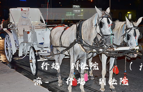 銀行起訴到法院會凍結(jié)微信賬戶嘛-銀行起訴到法院會凍結(jié)微信賬戶嘛