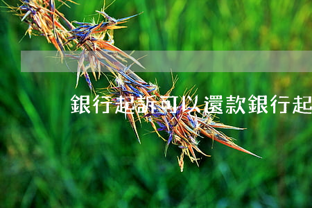 銀行起訴可以還款(銀行起訴期間把錢還了)