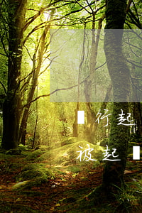 銀行起訴我惡意拖欠信用卡怎么辦(欠信用卡被起訴怎么辦)