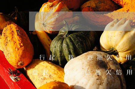 銀行起訴我惡意拖欠信用卡怎么辦(民生銀行要起訴我惡意拖欠信用卡不還)