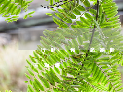 銀行起訴我惡意逾期(銀行為什么不輕易起訴逾期客戶)