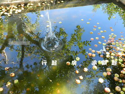 銀行起訴房貸逾期起訴費（房貸逾期起訴受理費）