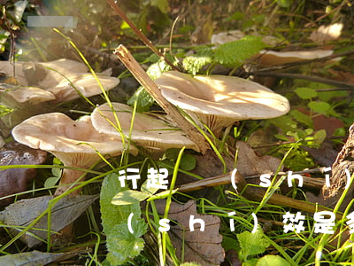 銀行起訴時(shí)效是多久-銀行起訴時(shí)效是多久的