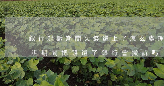 銀行起訴期間欠錢還上了怎么處理-銀行起訴期間把錢還了銀行會撤訴嗎