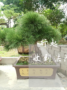 銀行起訴要多久立案(銀行向法院起訴多久會收到法院的)