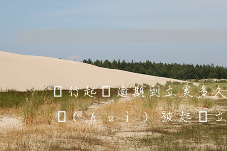 銀行起訴逾期到立案多久(銀行貸款逾期多久會(huì)被起訴立案)