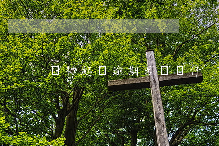 銀行起訴逾期客戶條件