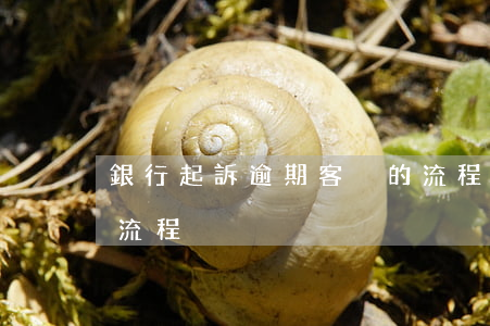 銀行起訴逾期客戶的流程 銀行逾期法院起訴流程