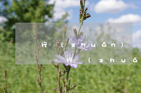 銀行轉(zhuǎn)賬記錄可以去法院起訴嗎(銀行轉(zhuǎn)賬記錄可以做法律證據(jù)嗎)