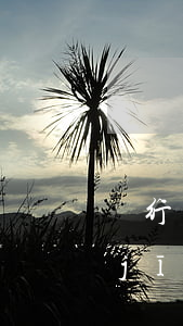 銀行轉(zhuǎn)賬軟件生成器(手機(jī)銀行轉(zhuǎn)賬軟件生成器)