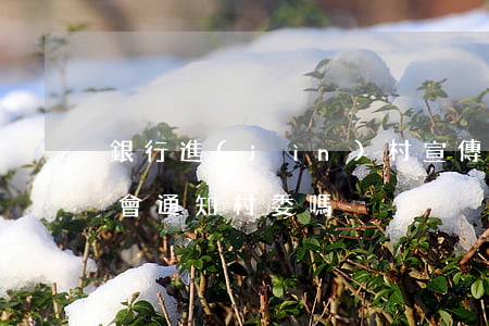 銀行進(jìn)村宣傳逾期貸款(貸款逾期會通知村委嗎)