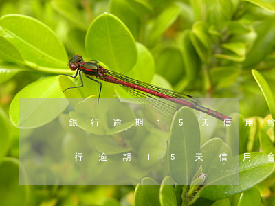 銀行逾期15天信用會(huì)怎樣-銀行逾期15天信用會(huì)怎樣呢