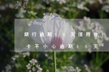 銀行逾期15天信用會(huì)怎樣(信用卡不小心逾期15天)