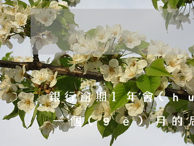 銀行逾期1年會(huì)起訴嗎(銀行逾期一個(gè)月的后果)