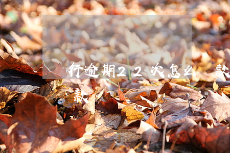 銀行逾期22次怎么貸款(逾期20多次可以貸款嗎)