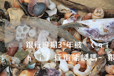 銀行逾期3年被強(qiáng)制執(zhí)行還能談嗎-銀行逾期3年可以談還款嗎